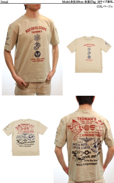 画像1: “TDSS-404”Tシャツ【TEDMAN】エアーフォース